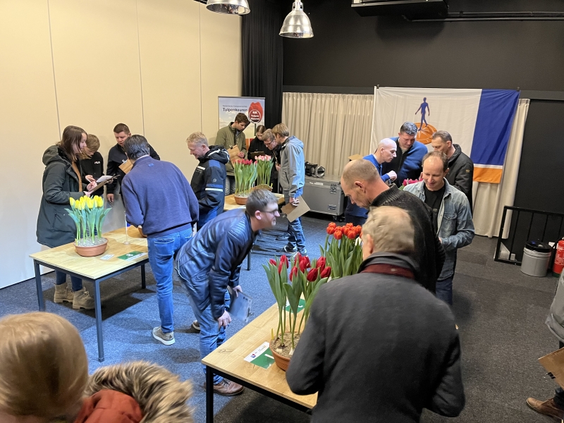 NK-tulpenkeuren-Wervershoof-3e keuring